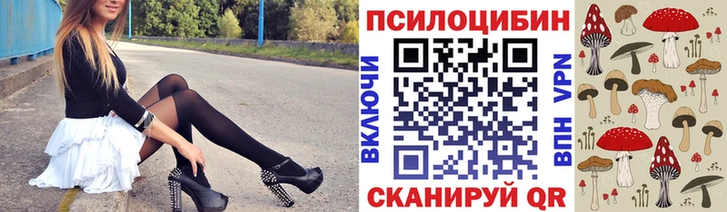 Псилоцибиновые грибы Cubensis  Купить где  Тайшет 